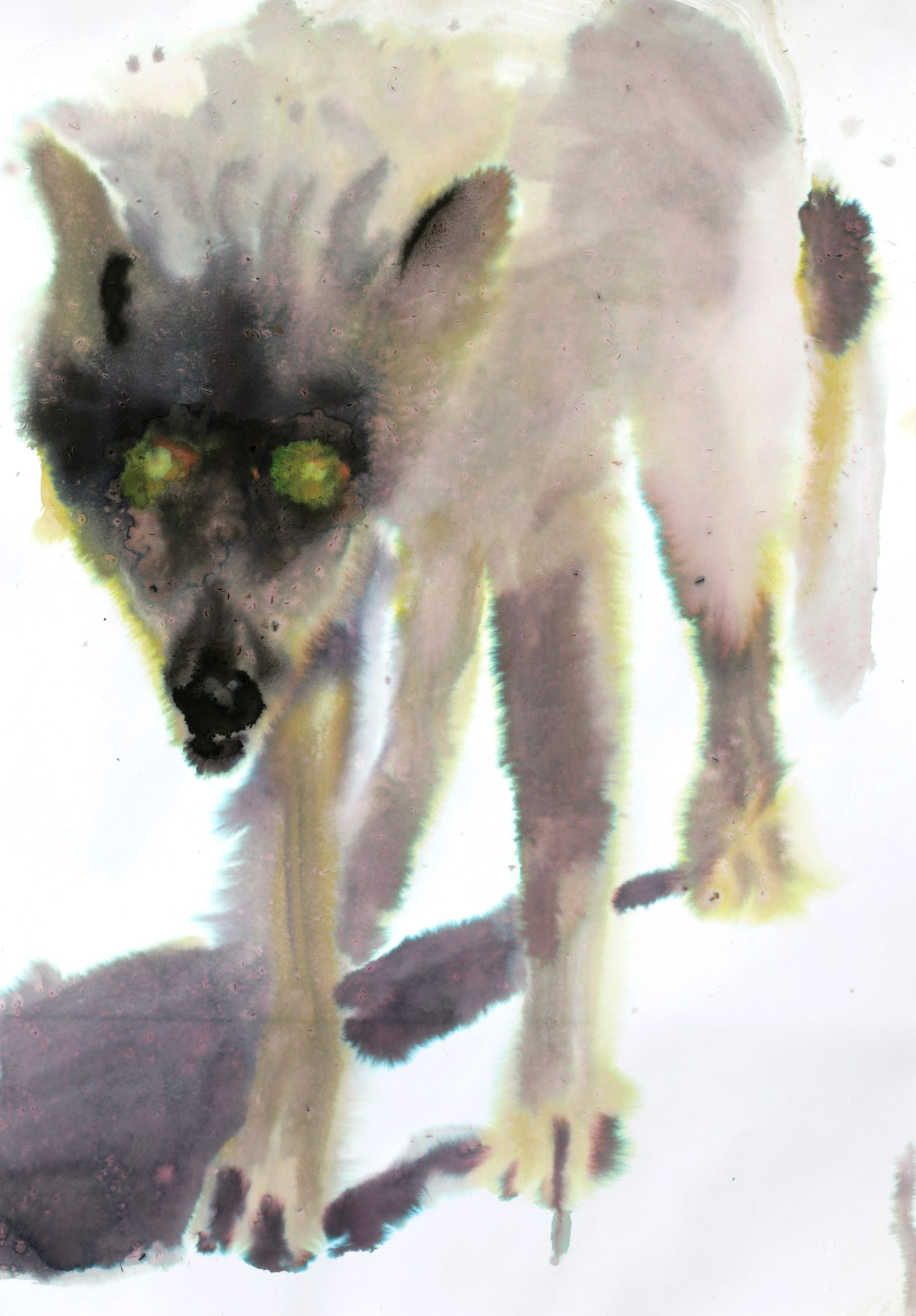 UNTITLED